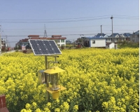 太阳能杀虫灯